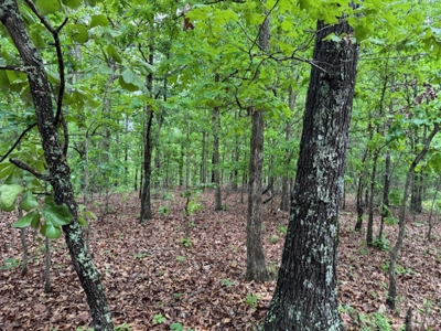 Ozarks Land And Building Site For Sale Near Viola Arkansas - image 11