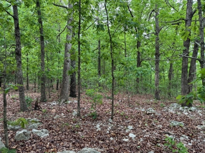 Ozarks Land And Building Site For Sale Near Viola Arkansas - image 8