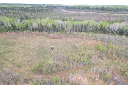 120 Acres with New Cabin located in Butternut, WI - image 32
