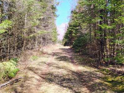 120 Acres with New Cabin located in Butternut, WI - image 16
