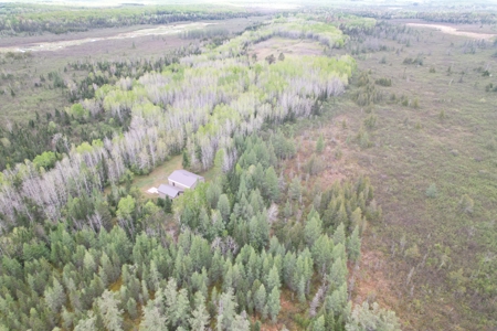 120 Acres with New Cabin located in Butternut, WI - image 33