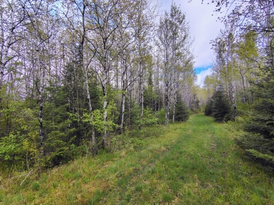 120 Acres with New Cabin located in Butternut, WI - image 20