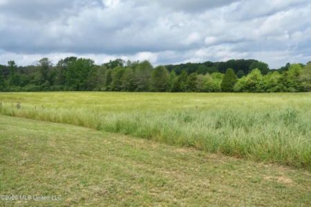 Turnkey 6 House Poultry Farm in Smithdale, MS - image 21