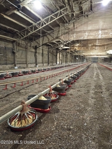 Turnkey 6 House Poultry Farm in Smithdale, MS - image 16