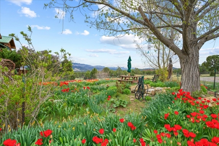 80-Acre Premier Hobby Farm & Investment Opportunity, Mesa, CO - image 50