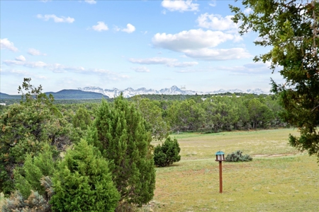 80-Acre Premier Hobby Farm & Investment Opportunity, Mesa, CO - image 7