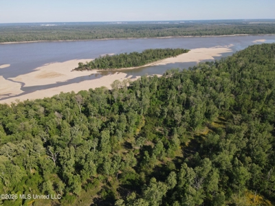 Duckport Legacy Waterfowl and Whitetail Recreational Tract - image 5