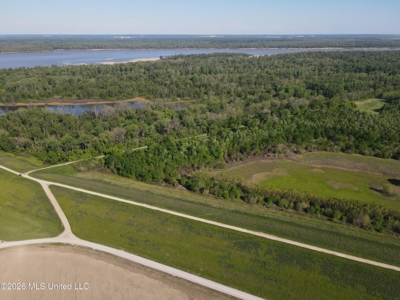 Duckport Legacy Waterfowl and Whitetail Recreational Tract - image 4