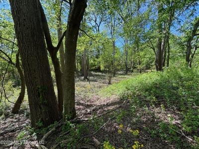Duckport Legacy Waterfowl and Whitetail Recreational Tract - image 12