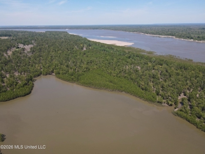 Duckport Legacy Waterfowl and Whitetail Recreational Tract - image 7