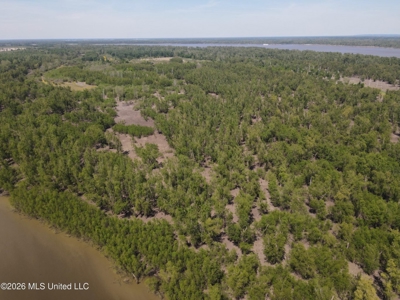 Duckport Legacy Waterfowl and Whitetail Recreational Tract - image 8