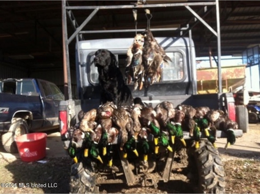 Duckport Legacy Waterfowl and Whitetail Recreational Tract