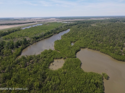 Duckport Legacy Waterfowl and Whitetail Recreational Tract - image 11