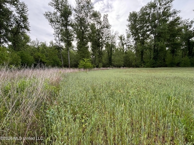 Duckport Legacy Waterfowl and Whitetail Recreational Tract - image 33