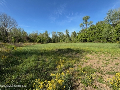 Duckport Legacy Waterfowl and Whitetail Recreational Tract - image 29