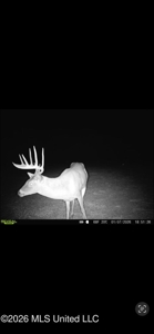 Duckport Legacy Waterfowl and Whitetail Recreational Tract - image 46