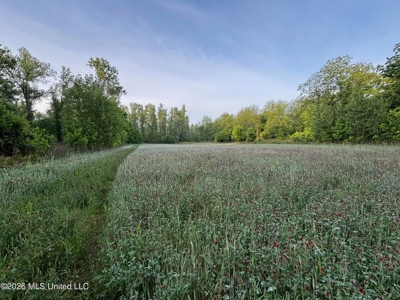 Duckport Legacy Waterfowl and Whitetail Recreational Tract - image 26
