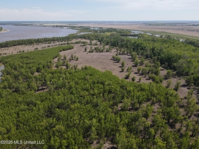 Duckport Legacy Waterfowl and Whitetail Recreational Tract - image 9