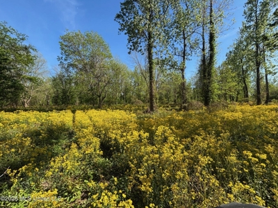 Duckport Legacy Waterfowl and Whitetail Recreational Tract - image 28