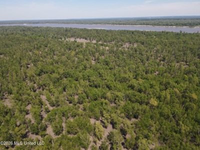 Duckport Legacy Waterfowl and Whitetail Recreational Tract - image 6