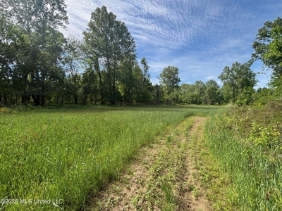Duckport Legacy Waterfowl and Whitetail Recreational Tract - image 27