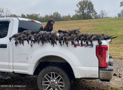 Duckport Legacy Waterfowl and Whitetail Recreational Tract - image 47