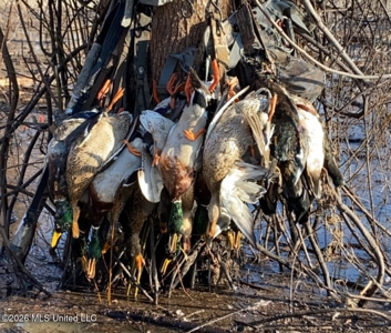 Duckport Legacy Waterfowl and Whitetail Recreational Tract - image 44