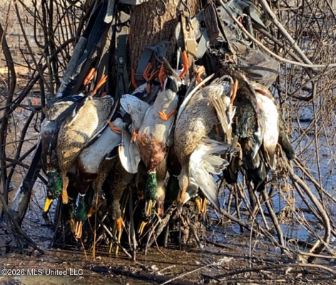 Duckport Legacy Waterfowl and Whitetail Recreational Tract