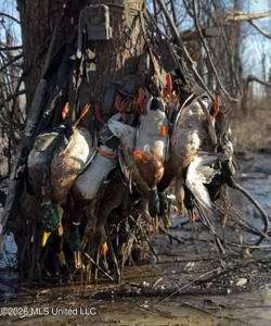 Duckport Legacy Waterfowl and Whitetail Recreational Tract - image 36