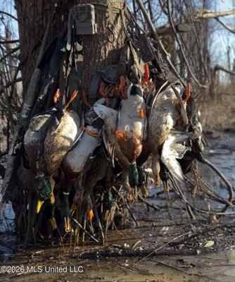 Duckport Legacy Waterfowl and Whitetail Recreational Tract