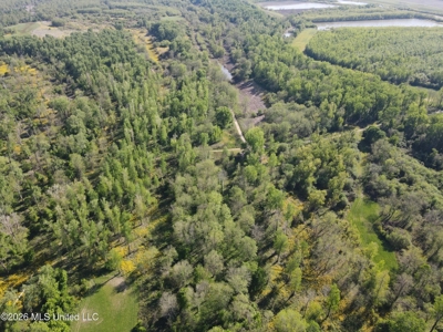 Duckport Legacy Waterfowl and Whitetail Recreational Tract - image 25