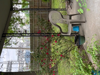 Charming Home for Auction in Miami, Oklahoma - image 6