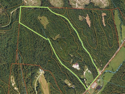 Tn. Country Home on 57 Acres – Secluded Farm & Hunting Retreat! - image 47