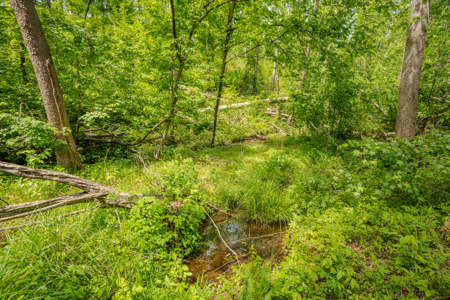 Tn. Country Home on 57 Acres – Secluded Farm & Hunting Retreat! - image 38