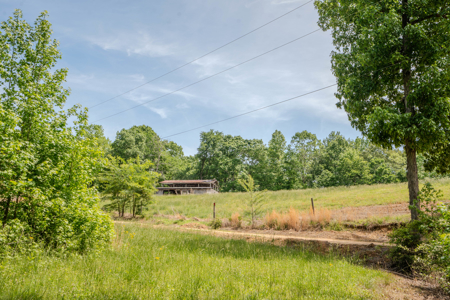 Tn. Country Home on 57 Acres – Secluded Farm & Hunting Retreat! - image 40
