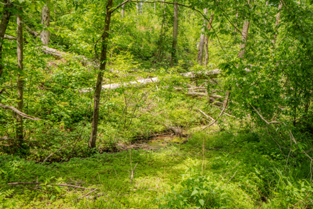 Tn. Country Home on 57 Acres – Secluded Farm & Hunting Retreat! - image 39