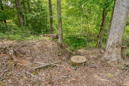 Tn. Country Home on 57 Acres – Secluded Farm & Hunting Retreat! - image 37
