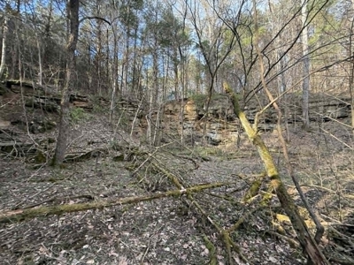 5+/- Acres in Albany, Kentucky - image 1