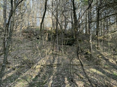 5+/- Acres in Albany, Kentucky - image 14