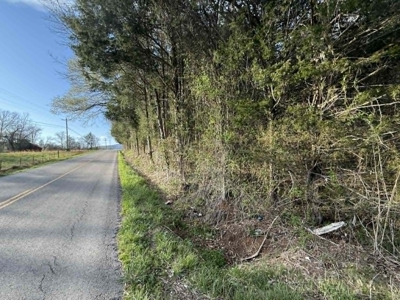 5+/- Acres in Albany, Kentucky - image 8