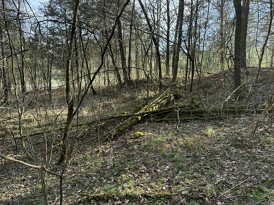5+/- Acres in Albany, Kentucky - image 20