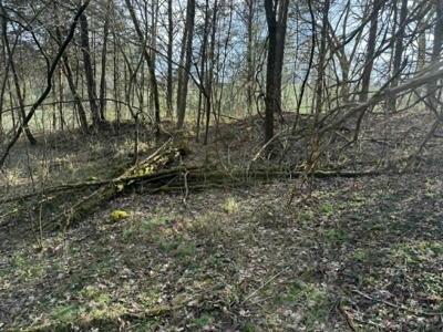 5+/- Acres in Albany, Kentucky - image 19