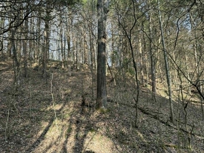 5+/- Acres in Albany, Kentucky - image 9
