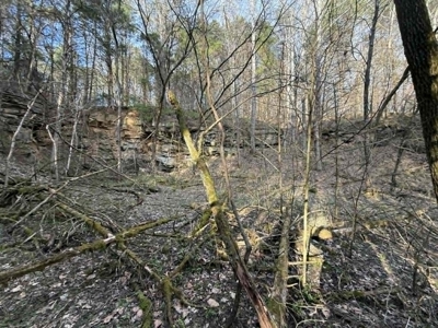 5+/- Acres in Albany, Kentucky - image 24