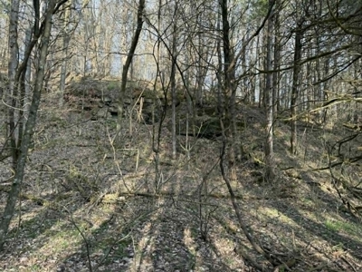 5+/- Acres in Albany, Kentucky - image 17