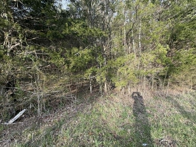 5+/- Acres in Albany, Kentucky - image 7
