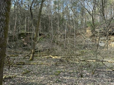 5+/- Acres in Albany, Kentucky - image 15