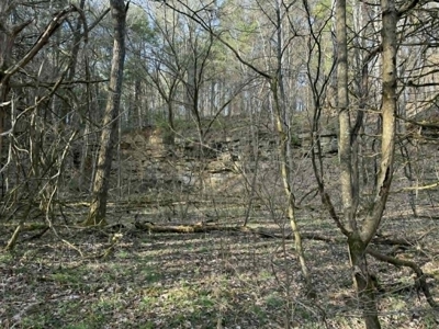 5+/- Acres in Albany, Kentucky - image 13