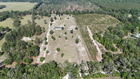 Two Homes 10 Acres Family Compound Rental Income In North Florida - image 41