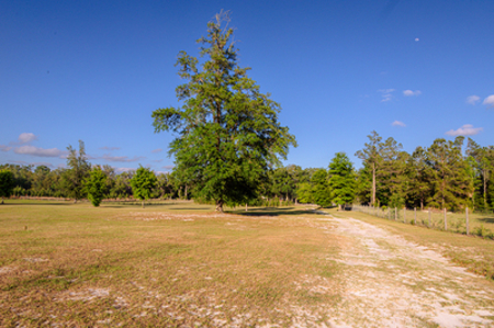 Two Homes 10 Acres Family Compound Rental Income In North Florida - image 21